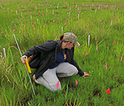 A female scientist kneeling in a grassy area, collecting samples.